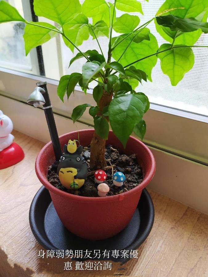 Non-Profit Bee Home Chilung Exteriör bild